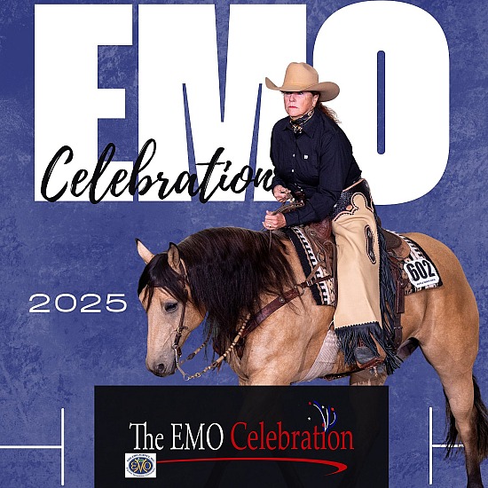 EMO The Celebration