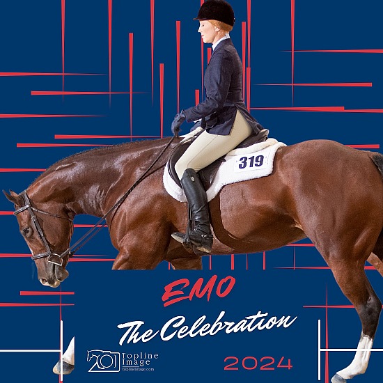 EMO The Celebration