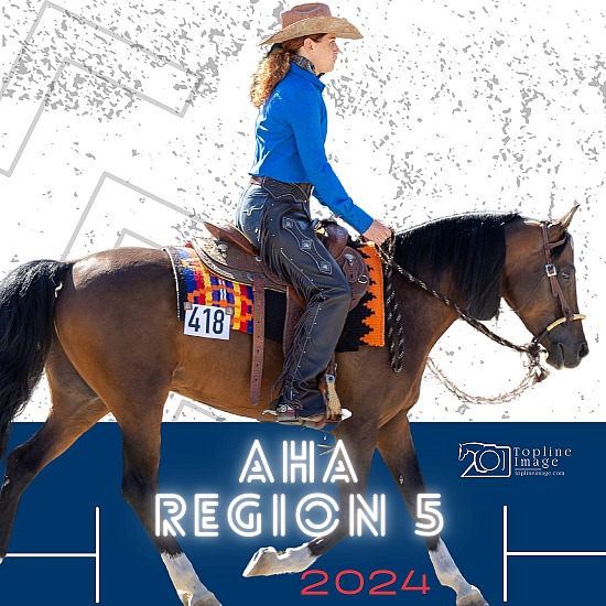 Region 5 Arabian 